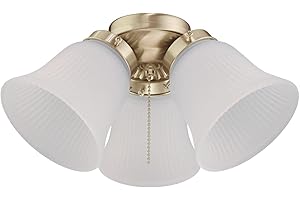 Westinghouse 7784500 Three-Light Led Cluster Ceiling Fan Light Kit, Polished Brass Finish with Frosted Ribbed Glass , Polished Brass