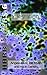Infestation (Harbingers Book 6)