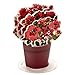Hallmark Paper Wonder Pop Up Valentines Day Card, Displayable Bouquet (Today, Tomorrow, Always), 699VFE1171