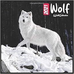 Wolf 2021 Wall Calendar Official Wolf 2021 Calendar 18 Months Calendars 2021 Wolf 9798693356467 Amazon Com Books Calendar 2022 Uat