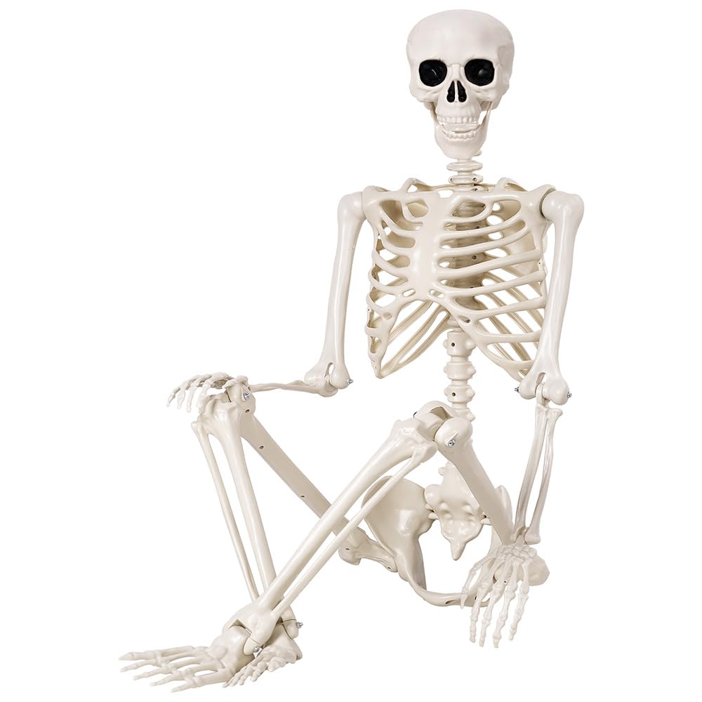 Photo 1 of Halloween Skeletons Decorations - 5.4FT Life Size Posable Skeletons, Realistic Plastic Full Body Skeletons for Halloween Party Outdoor Haunted House Graveyard Decor