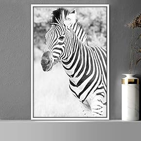 signwin Framed Canvas Wall Art Duotone Zebra Animals...