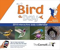 Bird-A-Day 2018 Daily Calendar: Western North America Bird-A-Day 2018 Daily Calendar: Western North America