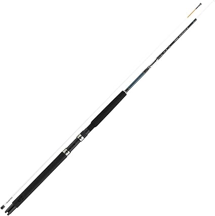 interline fishing rods