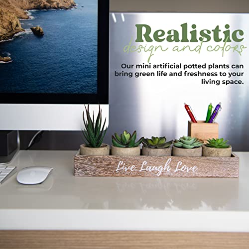 5 Bulk Small Fake Plants Bedroom Aesthetic Fake Succulents Plants