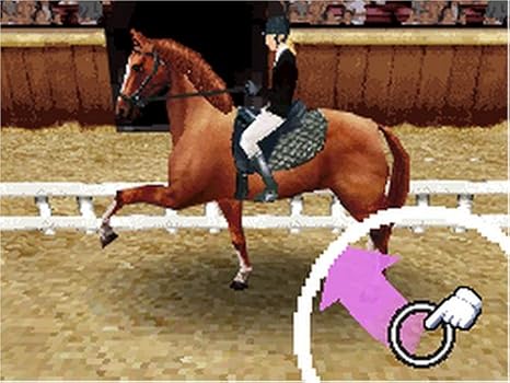 Horse Life Nintendo Ds Artist Not Provided Video Games Amazon Com