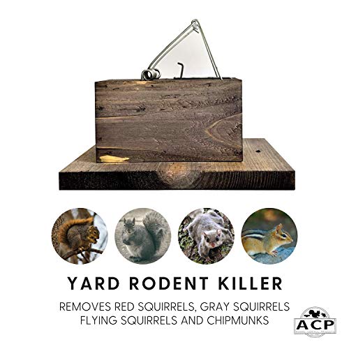 Little Killer Squirrel Trap for Squirrel & Chipmunk Removal in Homes