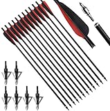TOPARCHERY 12pcs Crossbow Bolts 20 Inch Carbon