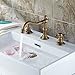 Ollypulse Double Cross Handles High Arc Widespread Bathroom Sink Faucet (Antique Brass)
