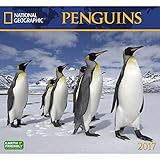 Penguins 2017 National Geographic Wall Calendar