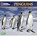 Penguins 2017 National Geographic Wall Calendar