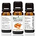 BioFinest Tangerine Oil - 100% Pure Tangerine Essential Oil - Soothe Oily Skin, Wrinkles and Scars- Premium Quality - Therapeutic Grade - Best For Aromatherapy - FREE E-Book (10ml)