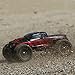 ECX Ruckus 4WD Monster Truck: RTR (1:18 Scale)