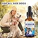 Green Vet Best Canine Cushings Drops - Premium Adrenal Support for Dogs – Dog Herbal Cushings Supplement for Overall Health and Wellbeing