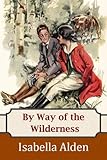 Front cover for the book By way of the wilderness by Pansy