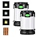 Antowin 2 Pack Camping Lamp with 3 LED Modes(White, Warm, Mixture Light), Powered by AA or AAA Batteries for Camping, Hiking and Exploring (Battery Included, 100 lumens)