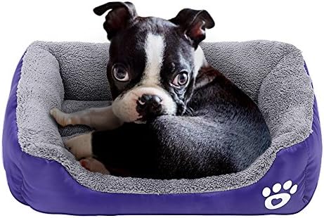 purple dog mattress