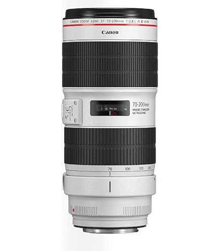 Amazon.com : Canon EF 70-200mm f/2.8L is III USM Lens for Canon