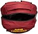 FOCO Cleveland Cavaliers NBA Action Backpack