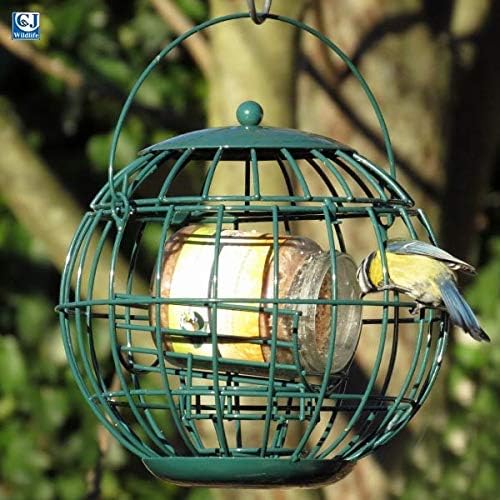 Cj London Squirrel Resistant Peanut Butter Feeder For Birds