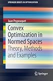 Convex Optimization in Normed Spaces: Theory, Methods and Examples (SpringerBriefs in Optimization)