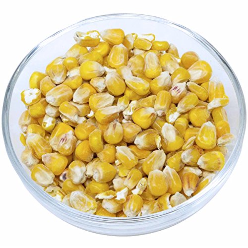 Leimüller Bio Mais Premium 25 kg | Natürlicher Mais aus Ãsterreich | Hochwertiges Kraftfutter für Milchkühe, Rinder, Schweine & Hühner | Bio-Zertifiziert & Frei von Gentechnik – Bild 3