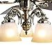 Indoor Ceiling Fan Light Fixtures - FINXIN FXCF03 (New Style) New Bronze Remote LED 52 Ceiling Fans For Bedroom,Living Room,Dining Room Including Motor,Light(5-LED 25W),5-Blades,Remote Switch