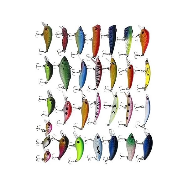 APG-30pcs-3D-Eyes-Bright-Color-Crankbait-Assorted-Fishing-Lures-Spinner-Baits-Fish-Hooks-Tackle