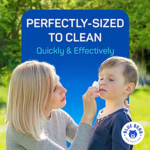 Blue Bear Protection Antibacterial Hand Wipes, Wet Wipes, Hand Cleaning