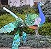 Premier Kites Peacock Spinner