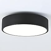 erpymi Modern Black Flush Mount Ceiling Light, 2-Lights Round Ceiling Light, Minimalistic Ceiling Lamp Acrylic Shade Lighting