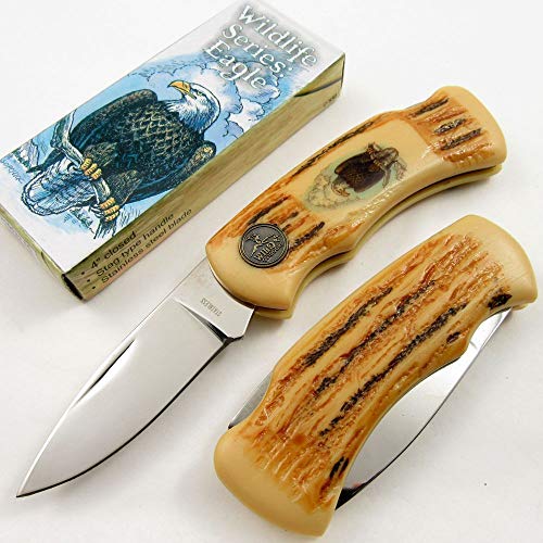 FOLDING POCKET Sharp KNIFE Eagle Collectible Wildlife Mirror Finish Blade Combat Tactical Knife + eBOOK by Moon Knives