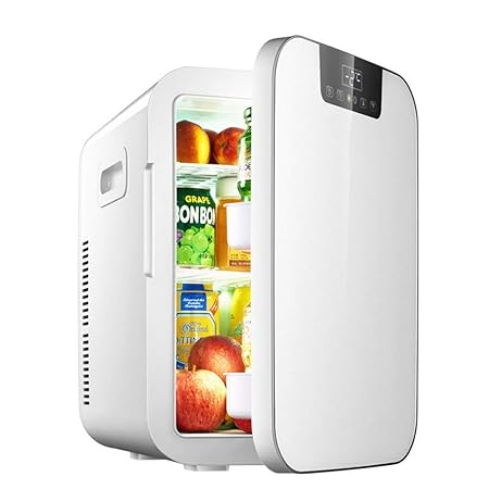 WMG& Mini refrigerador para automóvil, refrigerador portátil para ...