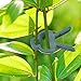 HOVEOX 80 PCs Plant Support Clips for Supporting Stems Garden Plant and Flower Clips Vines Grow Upright 2 Sizes