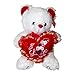 Valentine's Teddy Bear (15