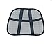 PrimeTrendz Cool & Breathable Mesh Support - Lumbar Support Cushion Seat Back Muscle Car Home Office Chair Pain Relief Travel by Lumbar Mesh Supporter