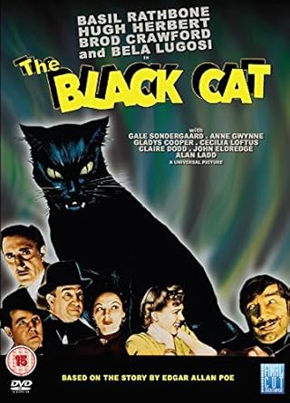 The Black Cat (1941) DVD UK: Amazon.co.uk: Basil Rathbone, Hugh ...