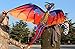 HENGDA KITE-Classical Dragon Kite 140cm x 120cm Single Line with Tail