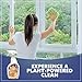 Earth Friendly Products ECOS Window Cleaner with Vinegar, 22 Fl Oz (Pack of 2)