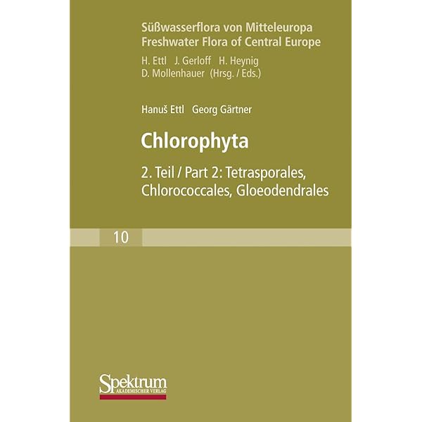 Süßwasserflora von Mitteleuropa, Bd. 19/3: Cyanoprokaryota: 3