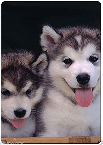 Husky Buddies fridge magnet 3 1/2" x 2 /18" name card size rectangular magnets.