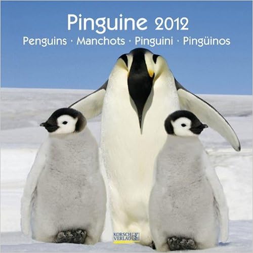 Pinguine 2012, Penguins, Manchots, Pinguini, Pingüinos/Broschürenkalender