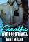 Livro Canalha Irresistível