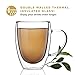 Kitchables Double Walled Glass Coffee Mugs Set of 2, 12oz - Insulated Glass Coffee Mugs for Cappuccino, Latte, Tea, Espresso - Latte Cup - Tazas Para Cafe