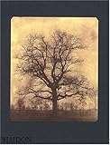William Henry Fox Talbot by