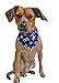 Tail Trends 6 Pack Pet Dog Bandanas Triangle Bib Scarf Assortment of Designs Available - 100% Cotton