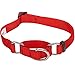 Blueberry Pet Essentials Martingale Safety Training Dog Collar, Rouge Red, Large, Heavy Duty Nylon Adjustable Collars for Dogs