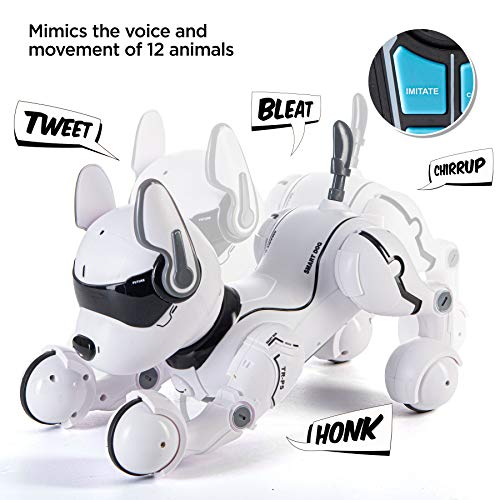 Remote Control Robot Dog Toy, Robots for kids, Rc Dog Robot Toys for Kids 2,3,4,5,6,7,8,9,10 year ol - //coolthings.us