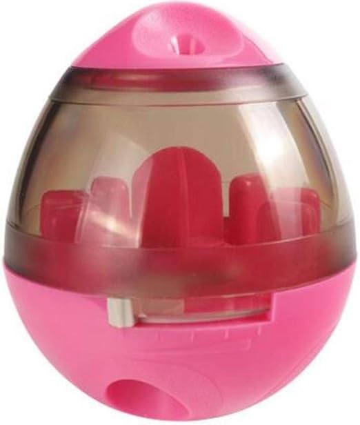 Zimo Le Chien De Compagnie Joue Avec Le Produit Amovible De