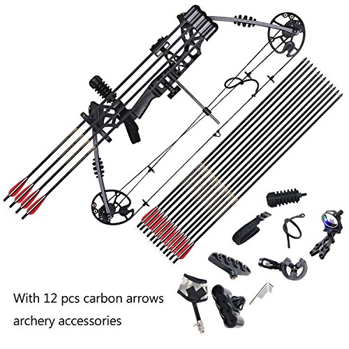 Buy Funtress Compound Bow 17"29" Draw Length 20 lb70lb Draw Weight